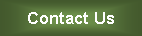 Text Box: Contact Us