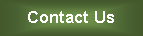 Text Box: Contact Us