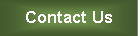 Text Box: Contact Us
