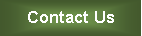 Text Box: Contact Us